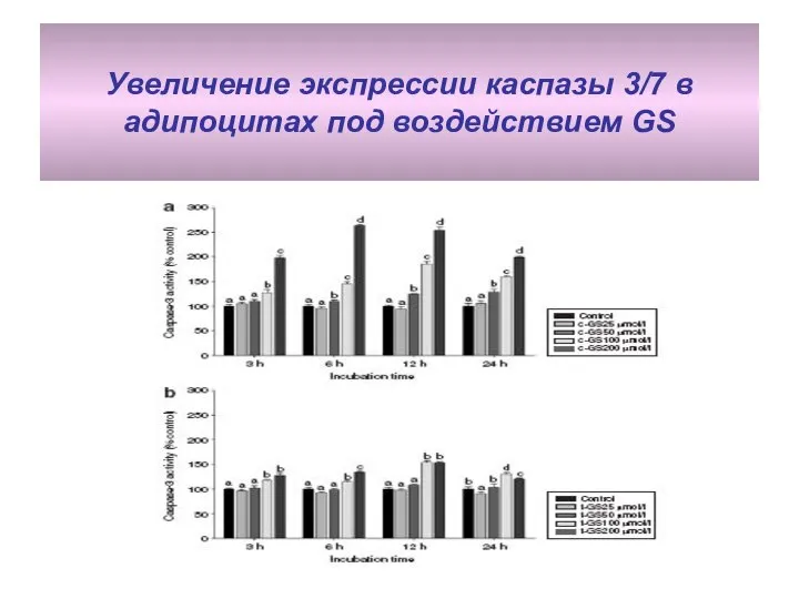 Увеличение экспрессии каспазы 3/7 в адипоцитах под воздействием GS