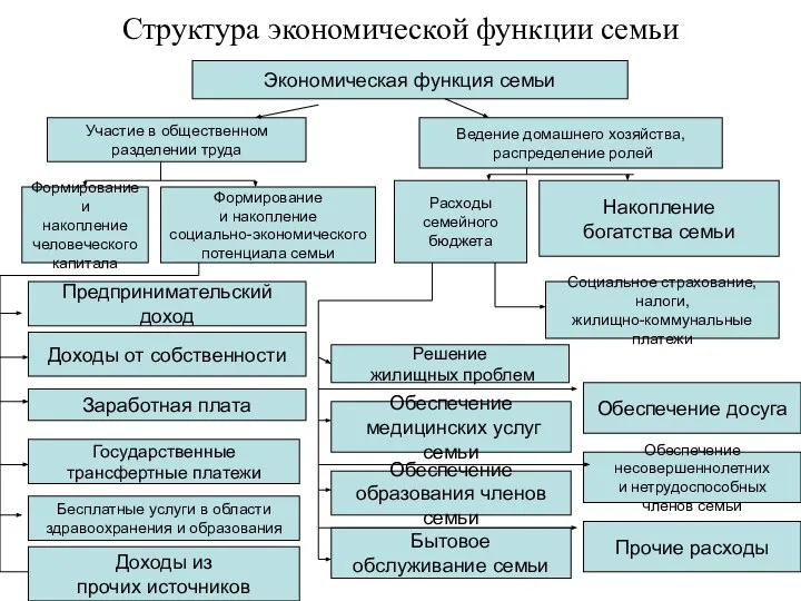 Структура экономической функции семьи Экономическая функция семьи Участие в общественном разделении