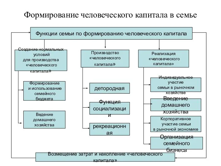 Формирование человеческого капитала в семье Функции семьи по формированию человеческого капитала