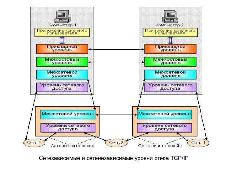 Сетезависимые и сетенезависимые уровни стека TCP/IP
