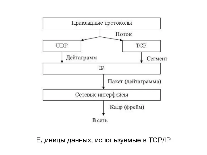 Единицы данных, используемые в TCP/IP