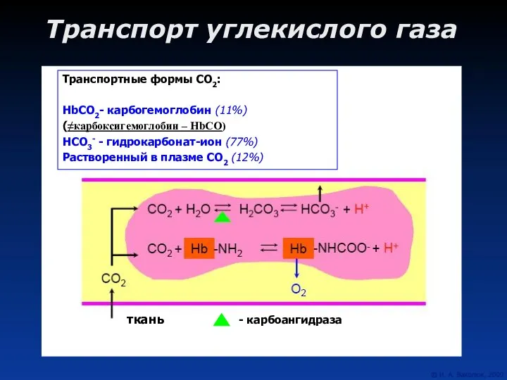 Транспорт углекислого газа