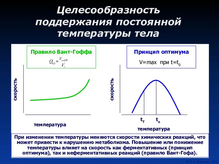 Целесообразность поддержания постоянной температуры тела При изменении температуры меняются скорости химических