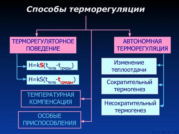 Способы терморегуляции ТЕРМОРЕГУЛЯТОРНОЕ ПОВЕДЕНИЕ АВТОНОМНАЯ ТЕРМОРЕГУЛЯЦИЯ ТЕМПЕРАТУРНАЯ КОМПЕНСАЦИЯ ОСОБЫЕ ПРИСПОСОБЛЕНИЯ Н=kS(tтела-tсреды)