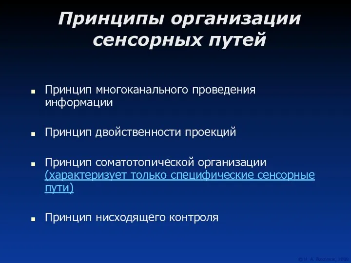 Принципы организации сенсорных путей Принцип многоканального проведения информации Принцип двойственности проекций