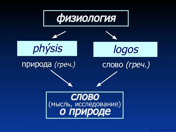 физиология phýsis logos природа (греч.) слово (греч.) слово (мысль, исследование) о природе