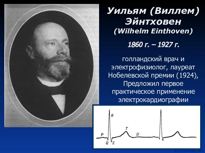 Уильям (Виллем) Эйнтховен (Wilhelm Einthoven) 1860 г. – 1927 г. голландский