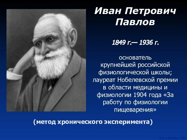 Иван Петрович Павлов 1849 г.— 1936 г. основатель крупнейшей российской физиологической