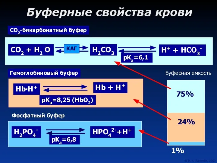 Буферные свойства крови