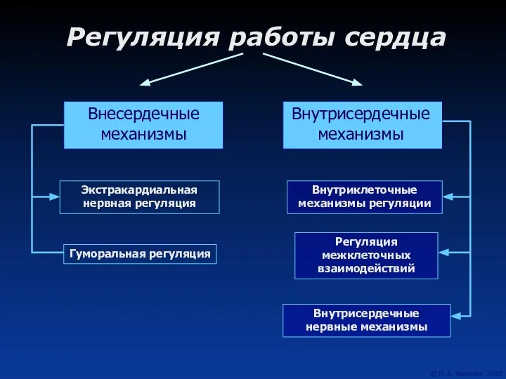 Внесердечные механизмы Внутрисердечные механизмы Регуляция работы сердца Внутриклеточные механизмы регуляции Регуляция