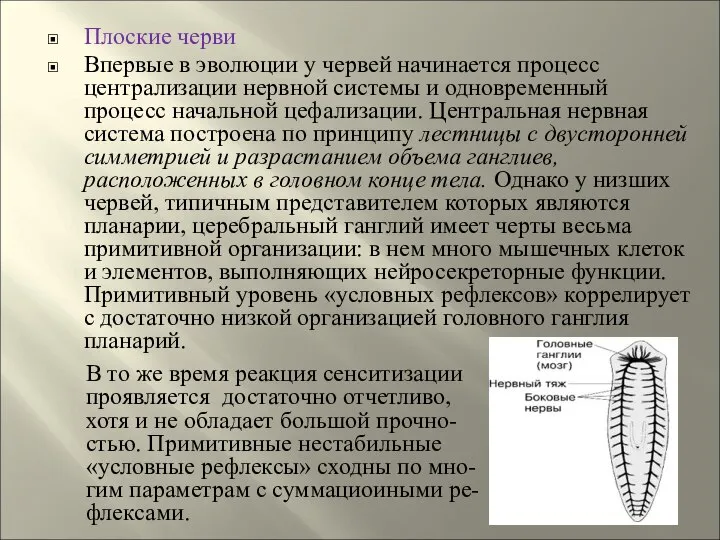 Плоские черви Впервые в эволюции у червей начинается процесс централизации нервной