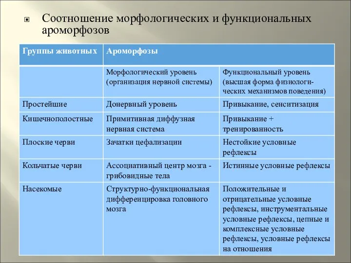 Соотношение морфологических и функциональных ароморфозов