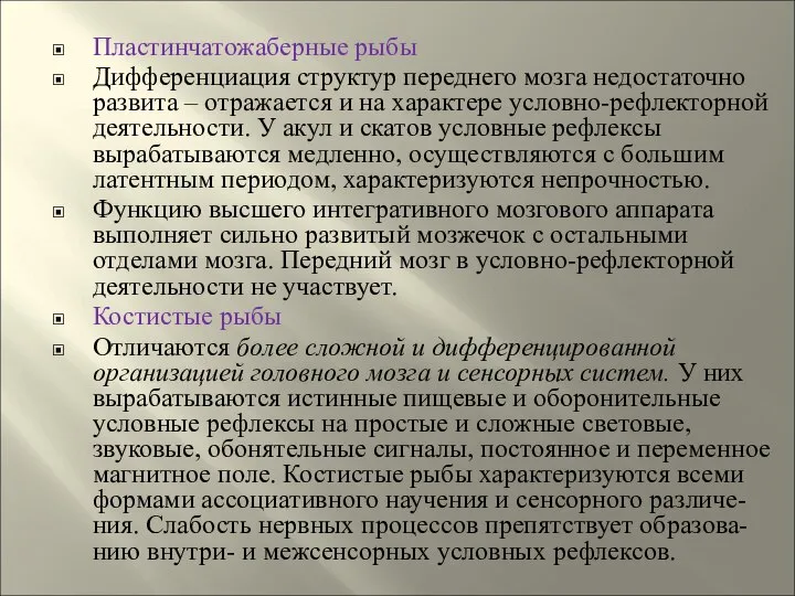 Пластинчатожаберные рыбы Дифференциация структур переднего мозга недостаточно развита – отражается и