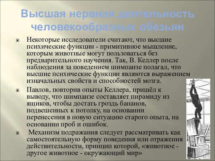 Высшая нервная деятельность человекообразных обезьян Некоторые исследователи считают, что высшие психические