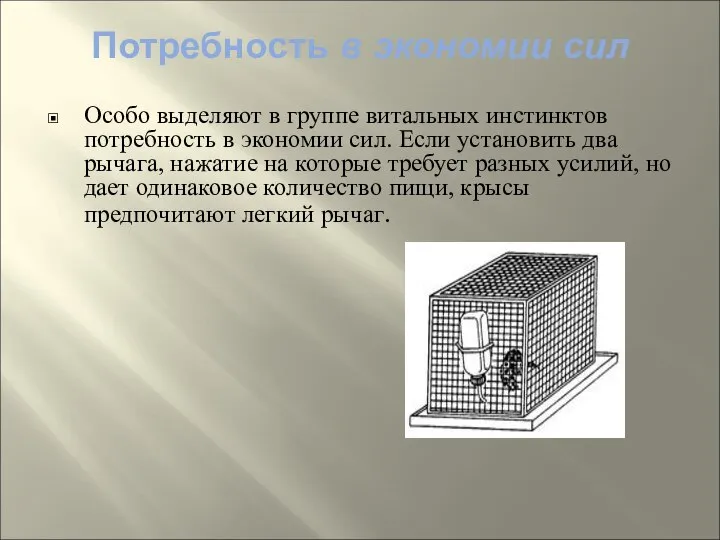 Особо выделяют в группе витальных инстинктов потребность в экономии сил. Если