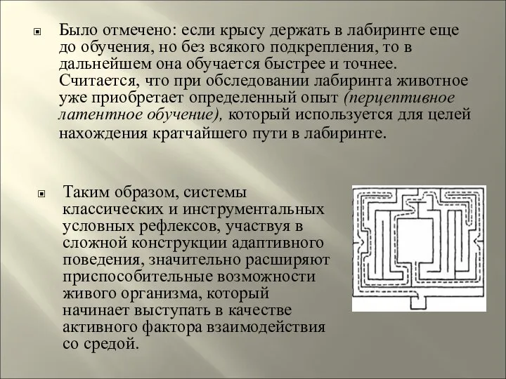 Было отмечено: если крысу держать в лабиринте еще до обучения, но