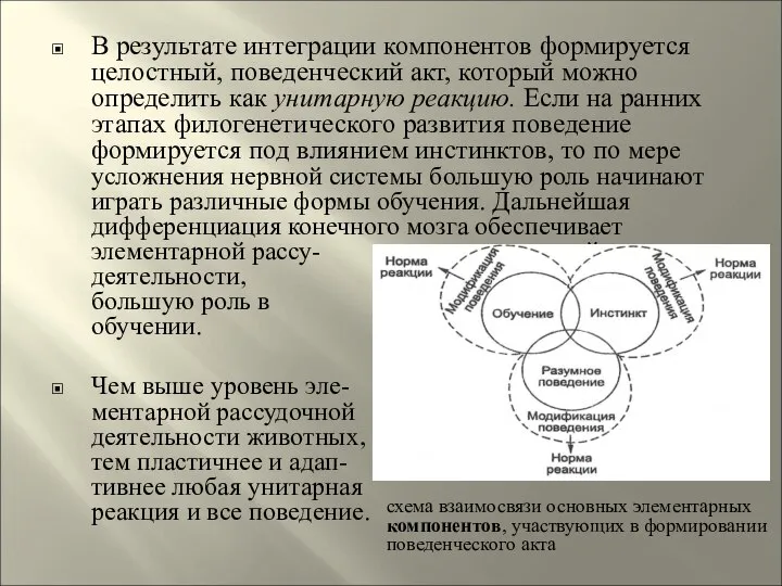 В результате интеграции компонентов формируется целостный, поведенческий акт, который можно определить