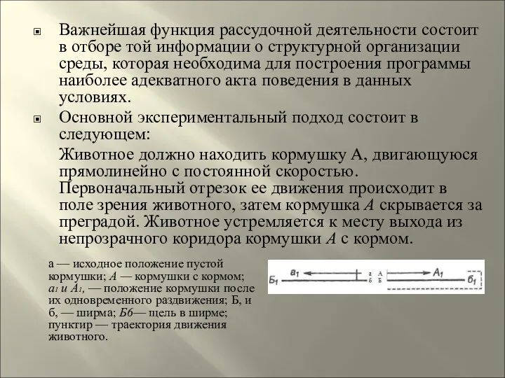 Важнейшая функция рассудочной деятельности состоит в отборе той информации о структурной