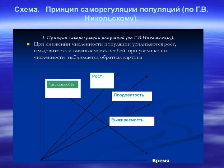 Схема. Принцип саморегуляции популяций (по Г.В.Никольскому).