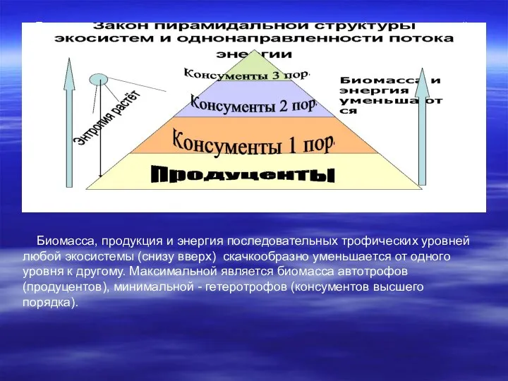 Биомасса, продукция и энергия последовательных трофических уровней любой экосистемы (снизу вверх)