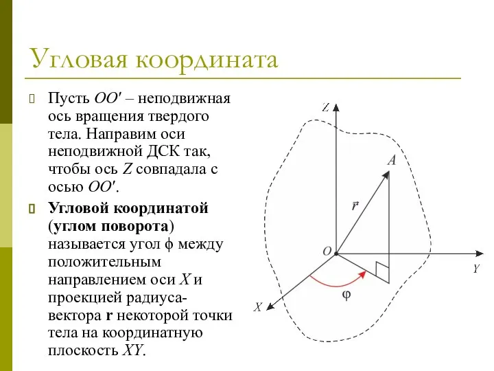 Угловая координата Пусть OO′ – неподвижная ось вращения твердого тела. Направим