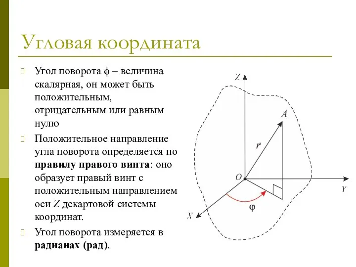 Угловая координата Угол поворота ϕ – величина скалярная, он может быть