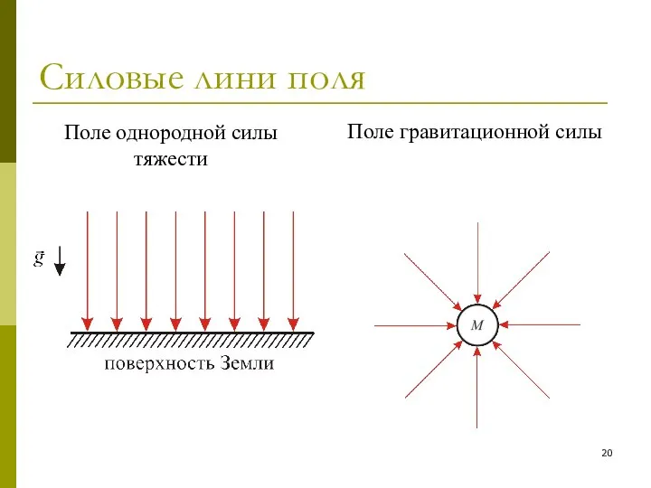 Силовые лини поля Поле однородной силы тяжести Поле гравитационной силы