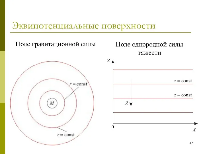 Эквипотенциальные поверхности Поле гравитационной силы Поле однородной силы тяжести