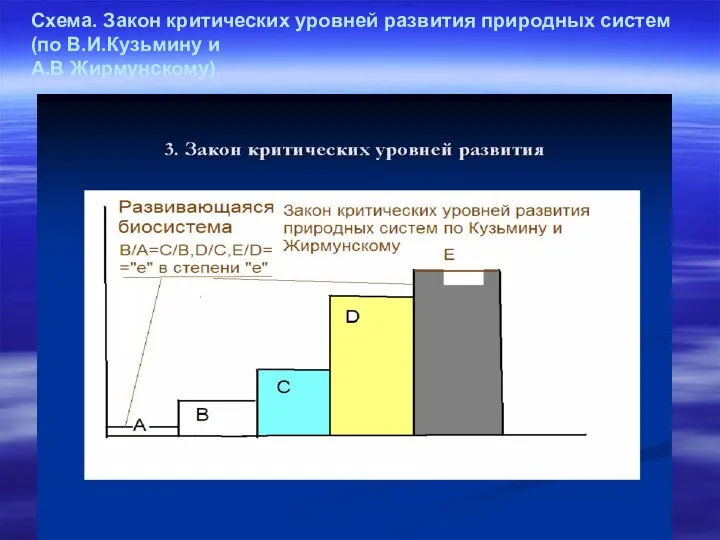 Схема. Закон критических уровней развития природных систем (по В.И.Кузьмину и А.В Жирмунскому).