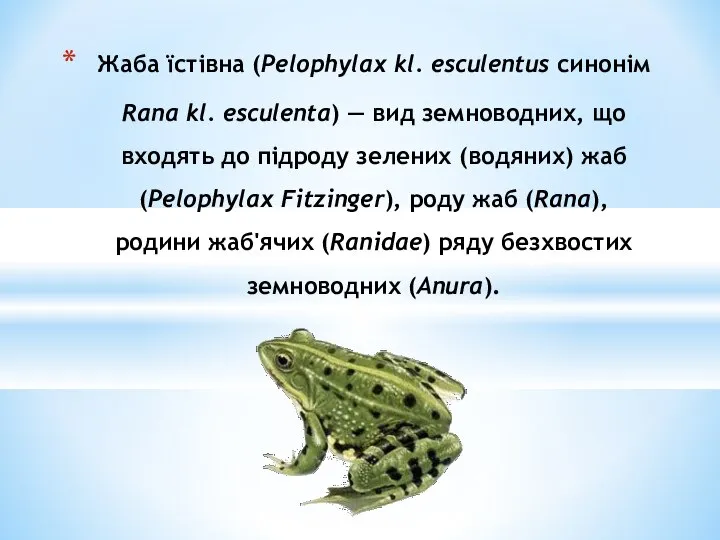 Жаба їстівна (Pelophylax kl. esculentus синонім Rana kl. esculenta) — вид