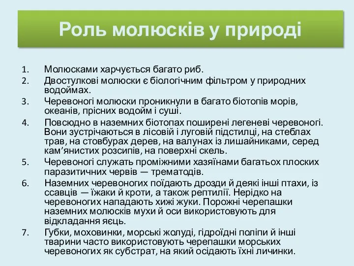 Роль молюсків у природі Молюсками харчується багато риб. Двостулкові молюски є