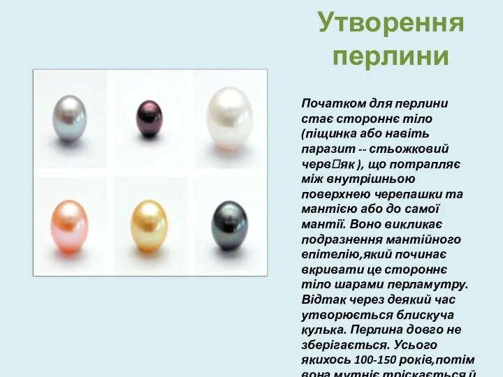 Утворення перлини Початком для перлини стає стороннє тіло(піщинка або навіть паразит