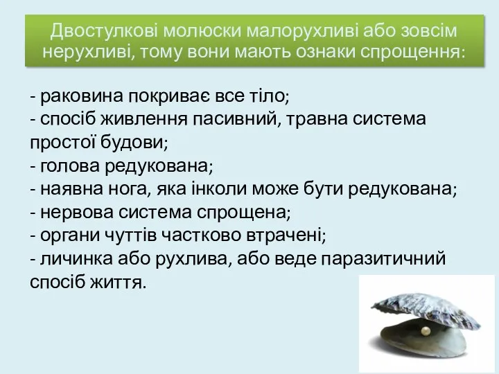 - раковина покриває все тіло; - спосіб живлення пасивний, травна система