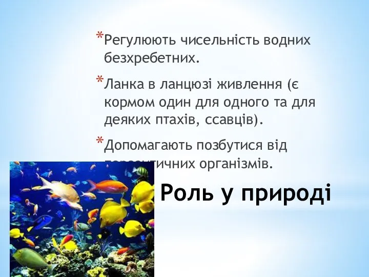 Роль у природі Регулюють чисельність водних безхребетних. Ланка в ланцюзі живлення