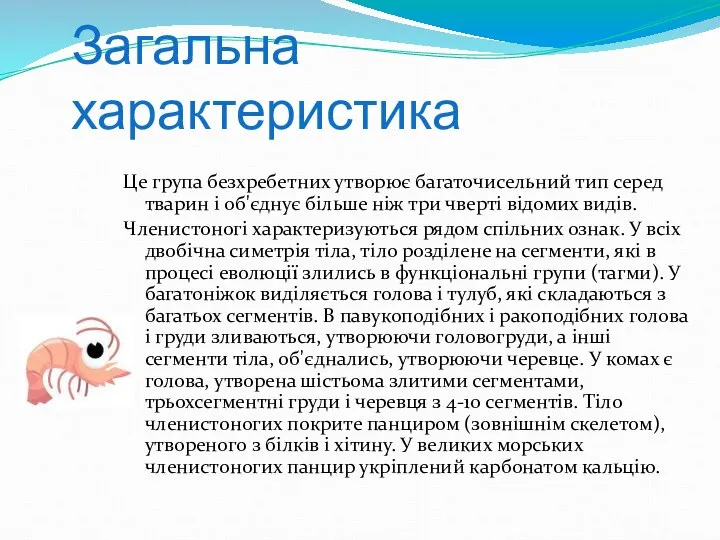 Загальна характеристика Це група безхребетних утворює багаточисельний тип серед тварин і