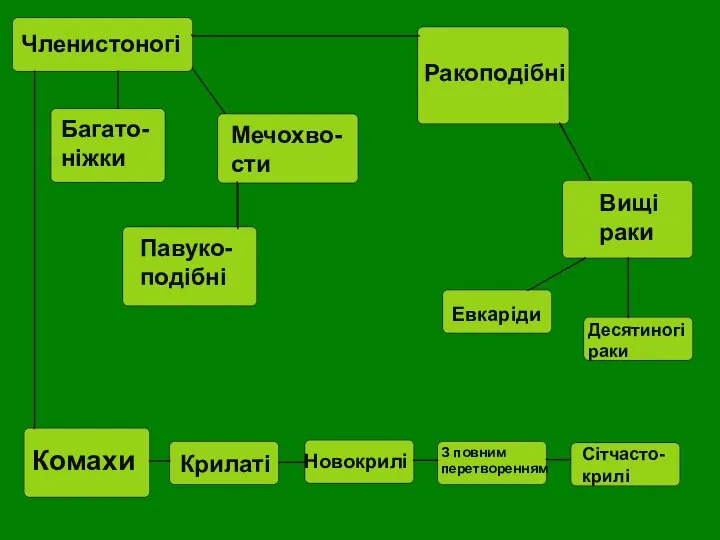 Мечохво- сти Багато- ніжки Членистоногі Павуко-подібні Ракоподібні Вищі раки Евкаріди Десятиногі