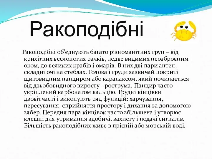 Ракоподібні Ракоподібні об'єднують багато різноманітних груп – від крихітних веслоногих рачків,