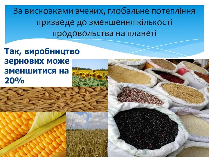 За висновками вчених, глобальне потепління призведе до зменшення кількості продовольства на