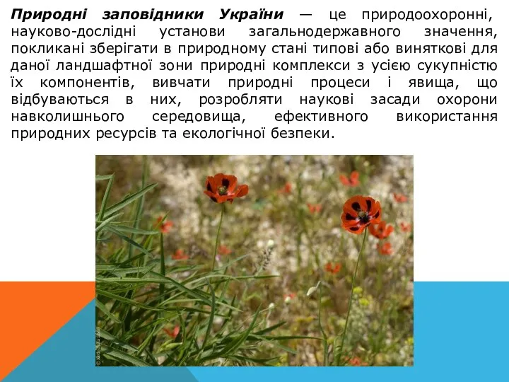 Природні заповідники України — це природоохоронні, науково-дослідні установи загальнодержавного значення, покликані