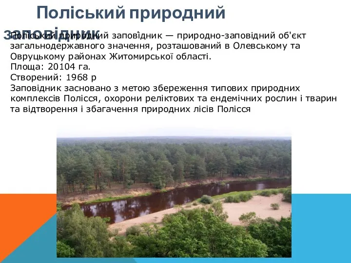 Поліський природний заповідник Полі́ський приро́дний запові́дник — природно-заповідний об'єкт загальнодержавного значення,