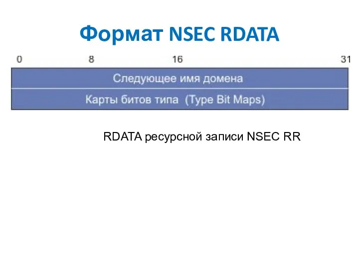 Формат NSEC RDATA RDATA ресурсной записи NSEC RR