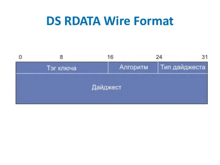 DS RDATA Wire Format