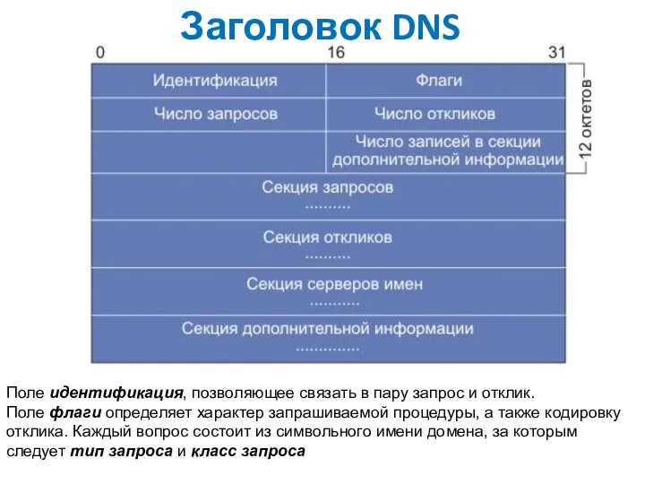 Заголовок DNS Поле идентификация, позволяющее связать в пару запрос и отклик.