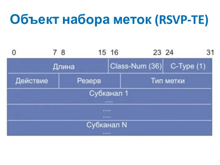Объект набора меток (RSVP-TE)