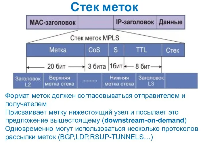 Стек меток Формат меток должен согласовываться отправителем и получателем Присваивает метку