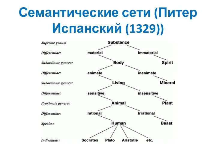 Семантические сети (Питер Испанский (1329))