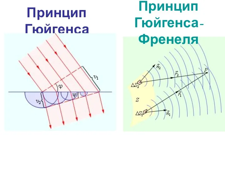 Принцип Гюйгенса Принцип Гюйгенса-Френеля