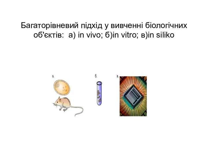 Багаторівневий підхід у вивченні біологічних об'єктів: а) in vivo; б)in vitro; в)in siliko