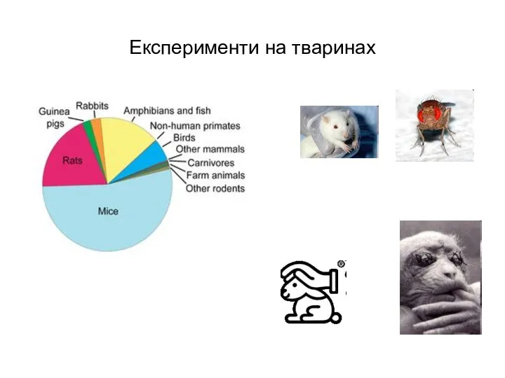 Експерименти на тваринах