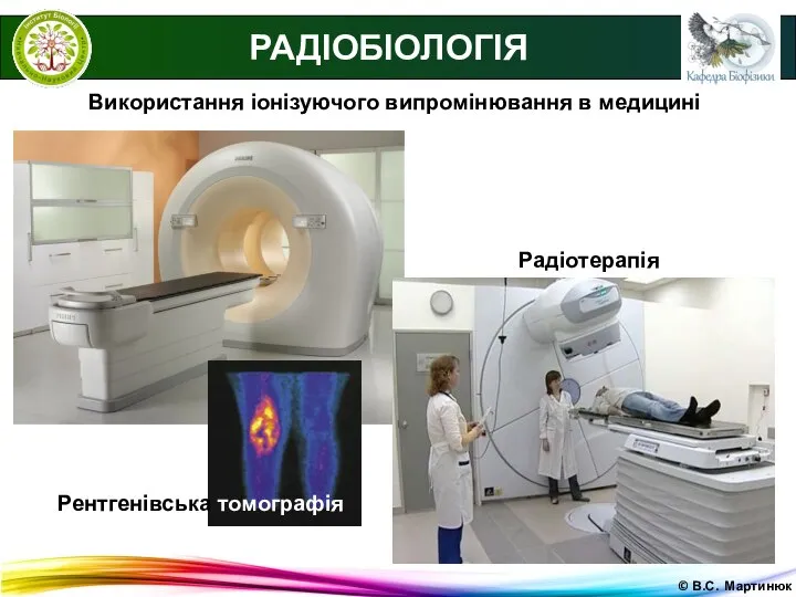 © В.С. Мартинюк Використання іонізуючого випромінювання в медицині РАДІОБІОЛОГІЯ Радіотерапія Рентгенівська томографія